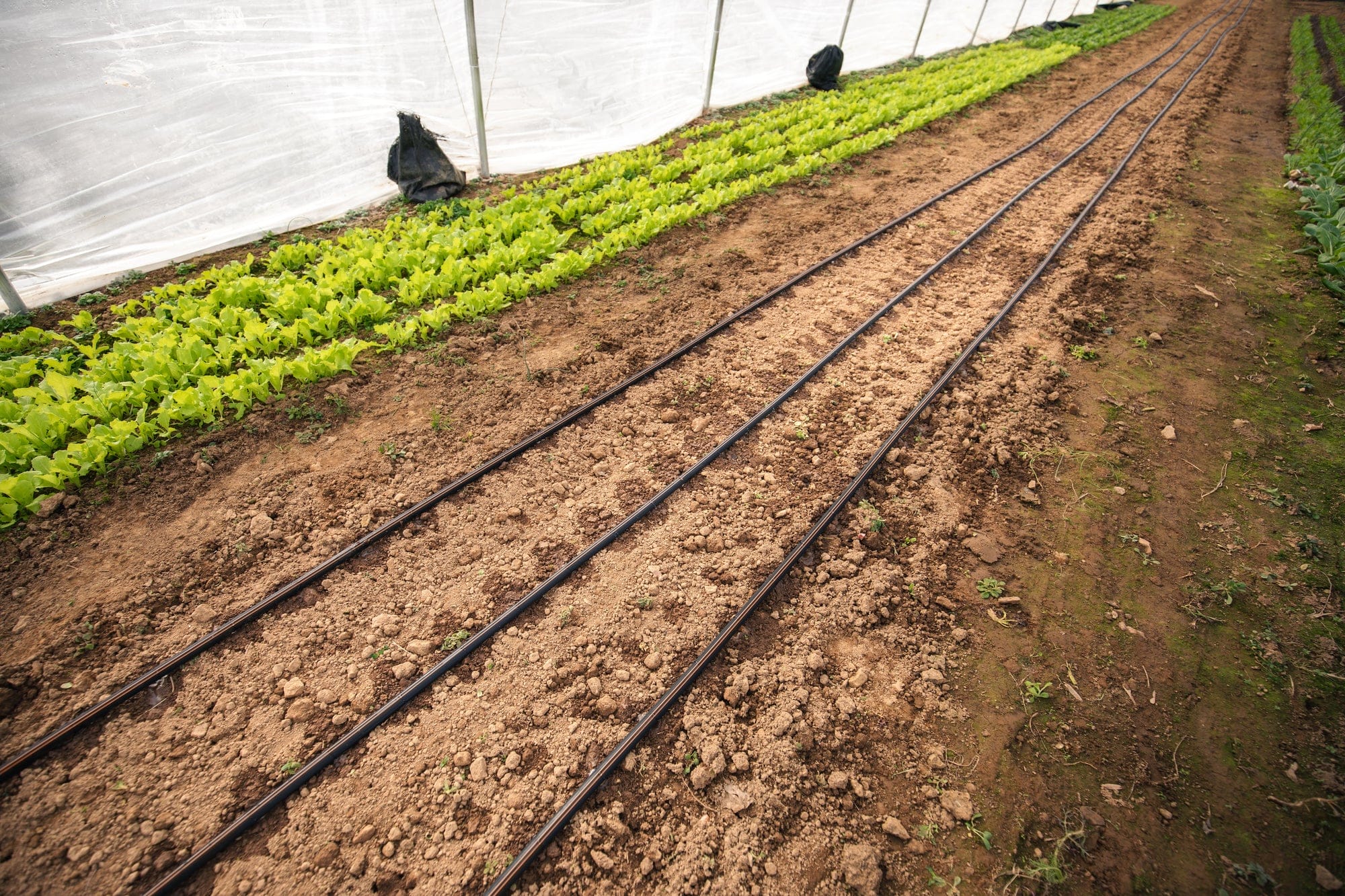 Top Irrigation Supplies