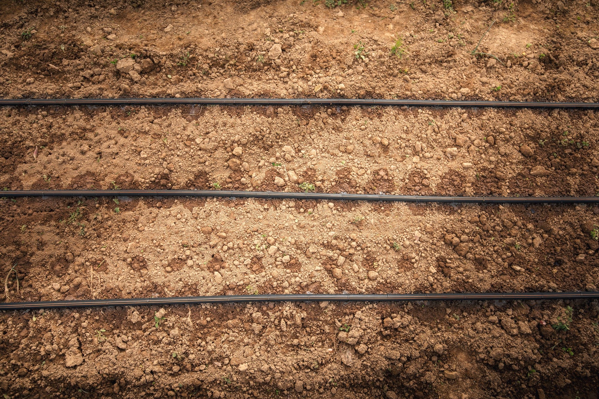 Drip Irrigation System Installation
