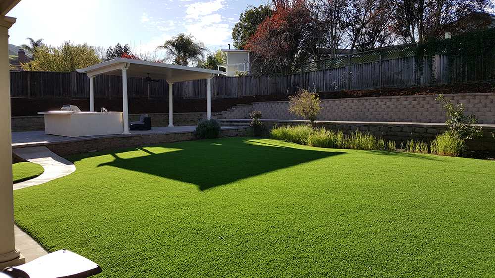 Backyard-waterless-lawn