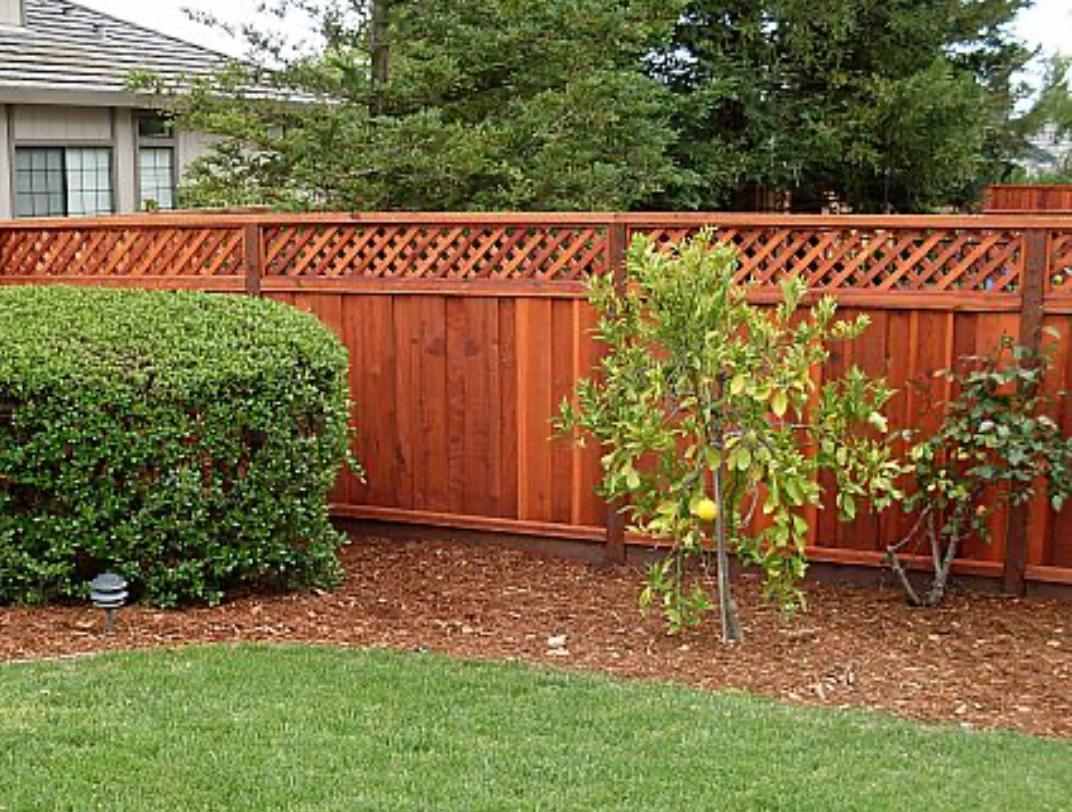 Fences and gates (17)