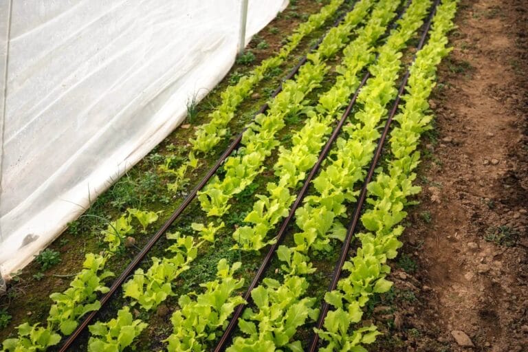 Irrigation system repair & maintenance