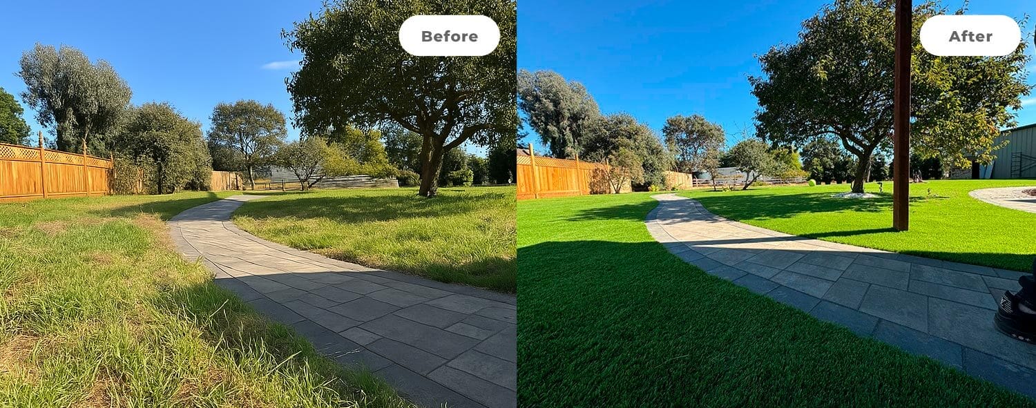 Before: brown overgrown grass; After: lush green and manicured grass.