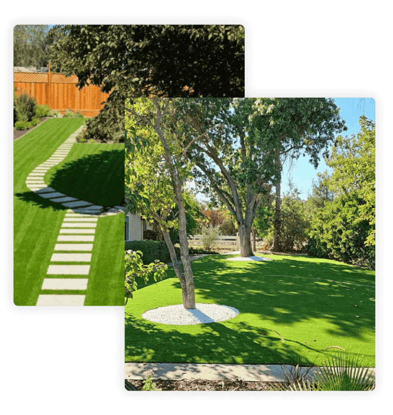 Lawn with trees
