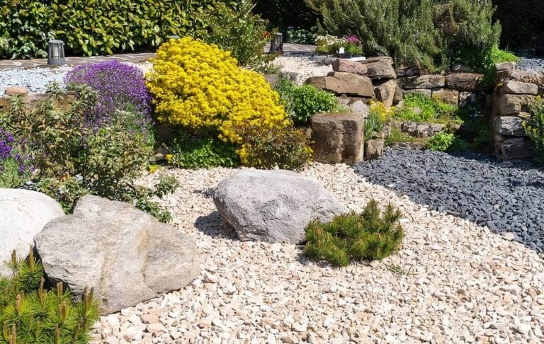 Light and dark gravel in a garden surrounded by colorful plants