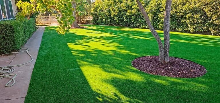 Bright green turf with tree in the middle.