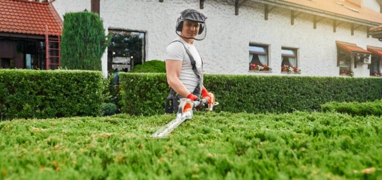 Man using electric hedge trimmer to shape bushes.