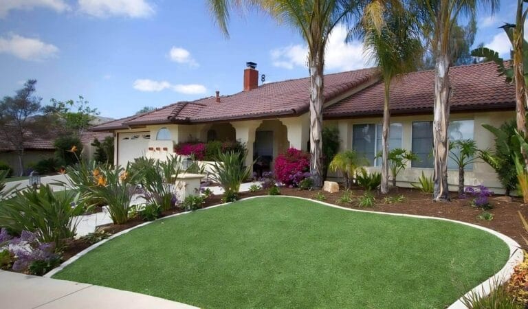Artificial turf lawn with palm trees