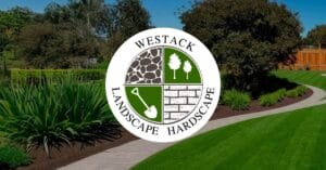 Lush landscape image with Westack logo superimposed over it