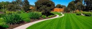 Manicured lawn with winding walking path and large trees